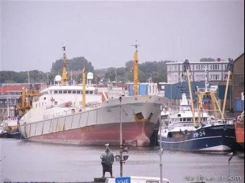 新船员最新爆料,航运业内幕大曝光